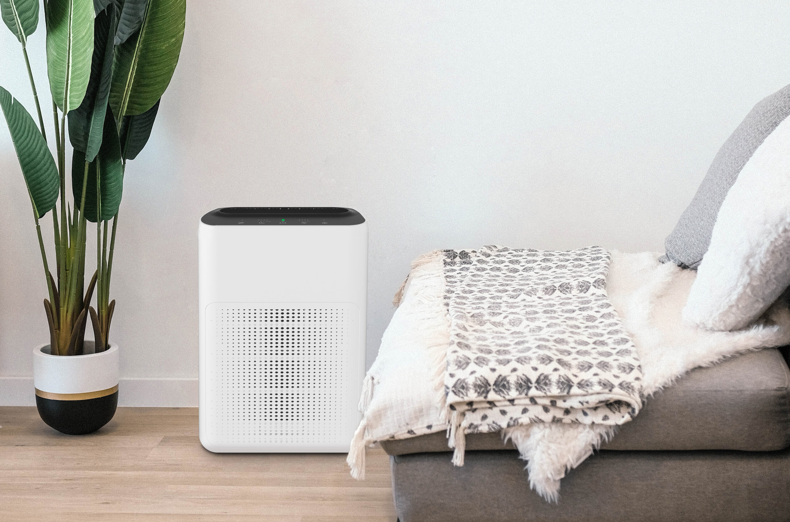 How to Properly Clean and Maintain Your Air Purifier