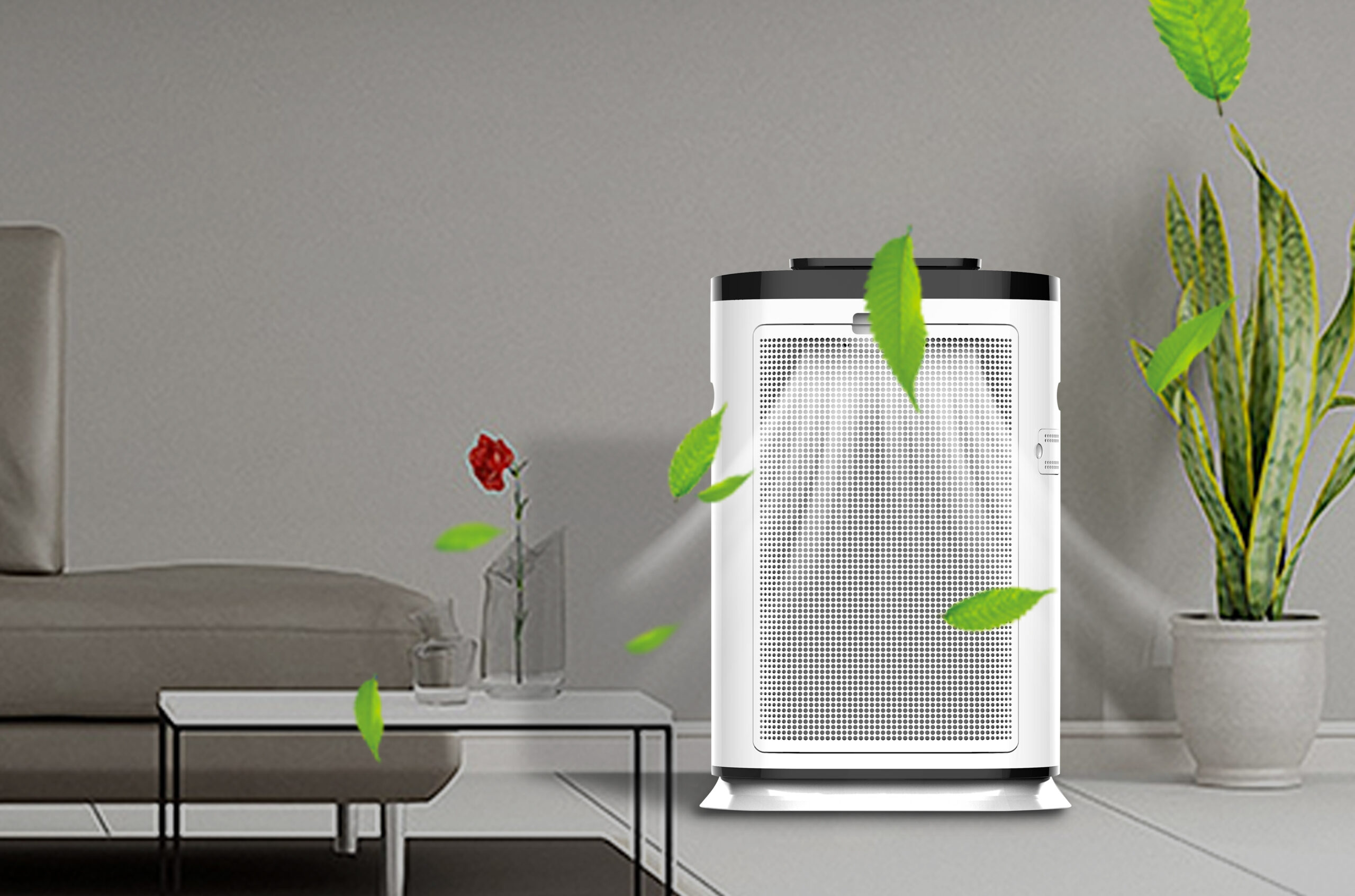 The Pros and Cons of Using an Ionic Air Purifier